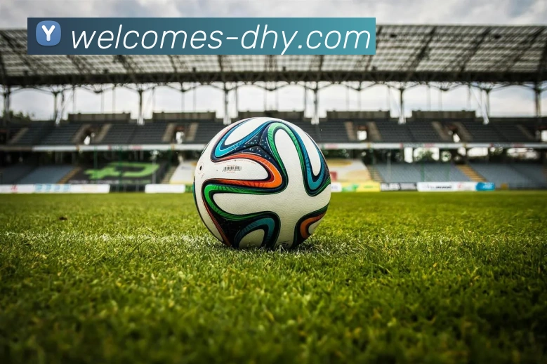 大红鹰官网平台生态图